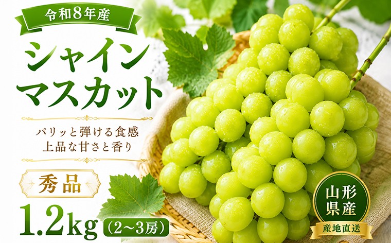 
                  山形産 シャインマスカット 秀品 1.2kg(2～3房) FY26-175
                
