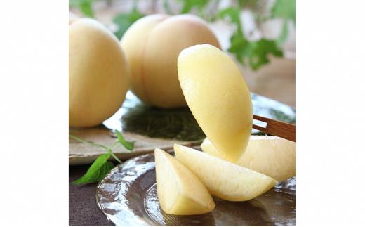 桃 ぶどう 2024年 先行予約 清水 白桃 5玉 約1.5kg 1玉約300g ニュー ピオーネ 1房 550g以上もも 葡萄 詰合せ 岡山 国産 フルーツ 果物 ギフト 桃茂実苑  [No.522