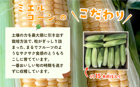 とうもろこし 先行予約 R8 下妻産 朝採り ミエルコーン 約6kg