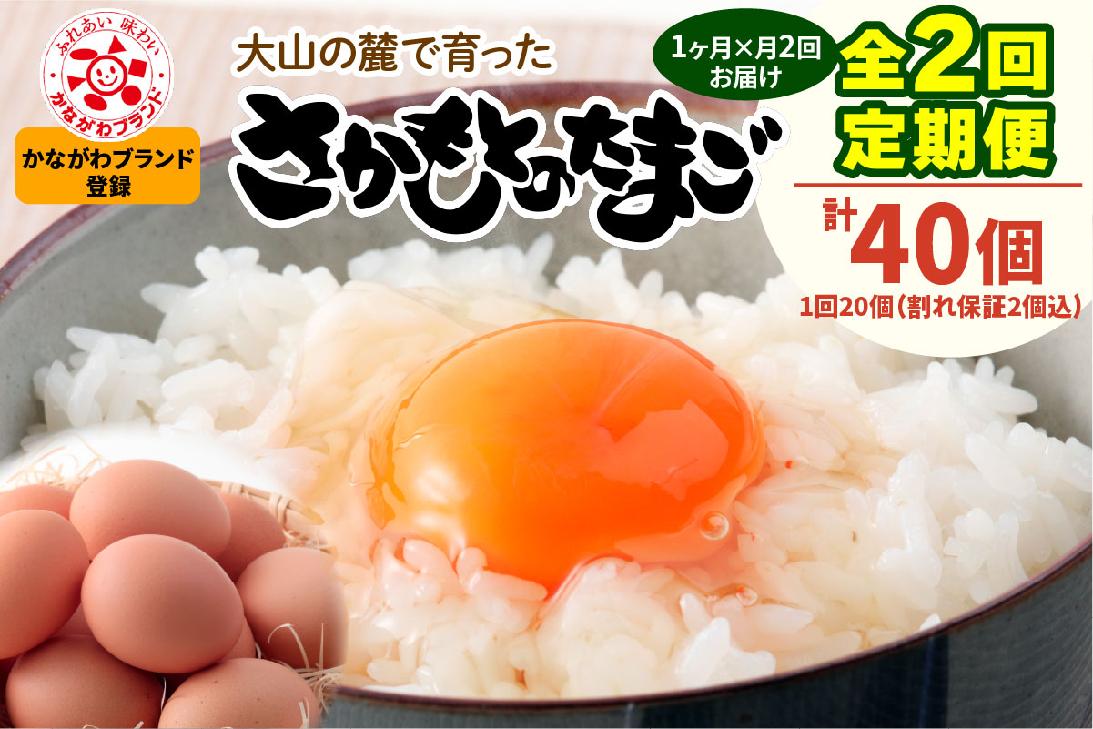 [定期便／1ヶ月×月2回] さかもとのたまご 20個 (18個＋割れ保証2個) 合計40個｜坂本養鶏 大山の麓で育ったさかもとのたまご 赤玉卵 玉子 鶏卵 伊勢原市 赤玉卵 玉子 生卵 国産 TKG 