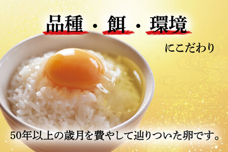 AQ009　【6ヶ月定期便】高橋ファームの丈夫卵 20個入り