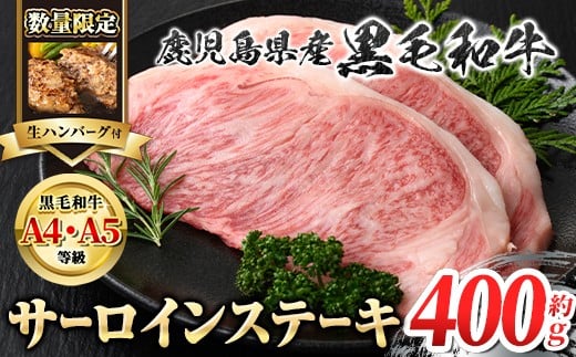 
            A01010-r ＜数量限定・生ハンバーグ付＞＜A4～5等級＞鹿児島県産黒毛和牛サーロインステーキ(計約400g・約200g×2枚)牛肉専門店自慢のお肉 鹿児島 国産 九州産 牛肉 黒毛和牛 和牛 霜降り しもふり サシ サーロイン ステーキ A4 A5 等級 ギフト 贈答【新村畜産】
          