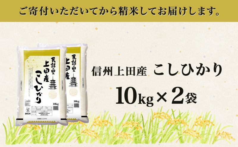 【新米予約】 令和6年産 長野県 信州 上田市産 こしひかり 10kg×2袋 計20kg 精米 白米 ブランド米  銘柄米 コシヒカリ ご飯 ライス お弁当 おにぎり 主食 国産 日本産 和食 お取り