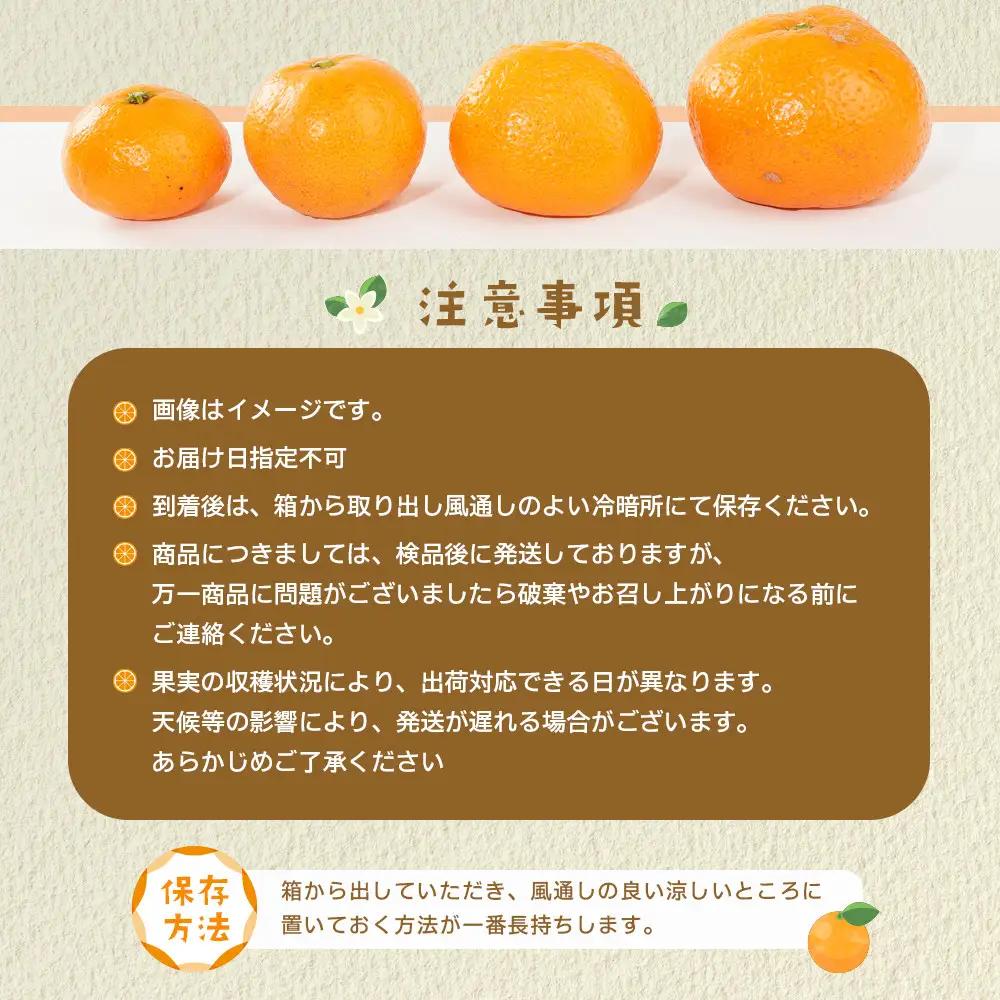 有田みかん サイズ不揃い 10kg みかん 温州 柑橘 和歌山 産地直送 喜楽farms