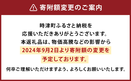 【12月発送】人気 定番 プリン 6種 2箱 セット 80g×12個 詰め合わせ