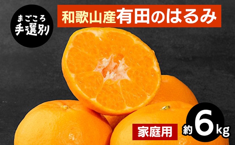 【先行予約】【まごころ手選別】和歌山県産 はるみ 約6kg ご家庭用 S～4Lサイズ混合 柑橘
