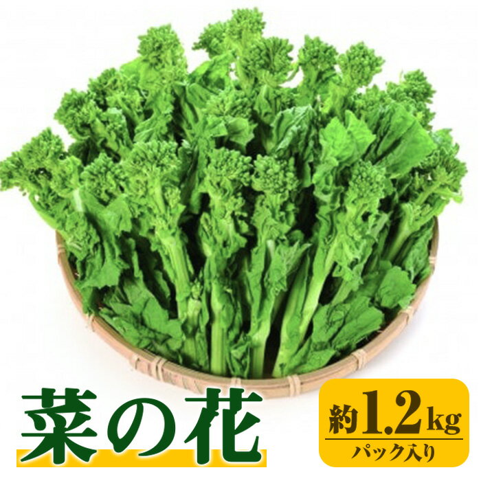 【ふるさと納税】＜期間限定！2025年12月中旬以降順次発送予定＞菜の花(約1.2kg/パック入り) なの花 春 春野菜 野菜 産地直送 新鮮 香川 香川県 特産 果物 ベジタブル 旬 人気 お取り寄せ 新登場【man355】【Aglio nero】