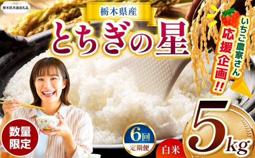 【栃木県共通返礼品】【先行予約】【定期6回】 訳あり 定期便 数量 限定 令和8年度産 とちぎの星 約 5kg| とちぎの星 白米 ごはん おいしい 品種 お米 米 おにぎり ふるさと納税 那珂川町 栃木県