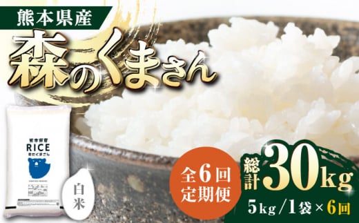 《 新米先行予約 》【全6回定期便】2025年10月より順次発送   森のくまさん 白米 5kg【株式会社  農産ベストパートナー】 お米 コメ 熊本 特A 精米 ごはん 特産品 定期便  [ZBP026]