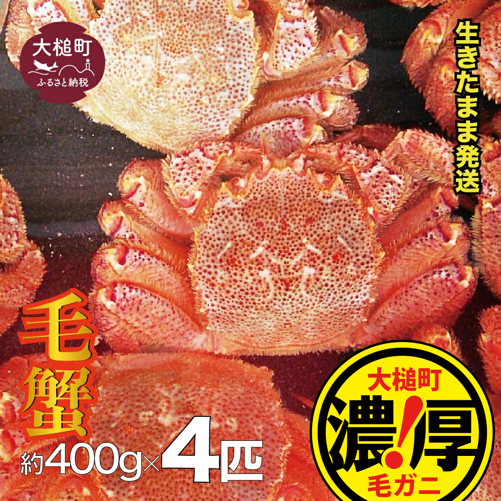 【令和8年発送先行予約】三陸産！活毛ガニセット 400g×4杯【08】【2026年2月～4月発送】