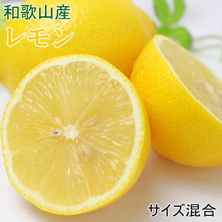 【ふるさと納税】［産直］和歌山産レモン約5kg（サイズ混合）★2026年3月下旬頃より順次発送［TM129］ | フルーツ 果物 くだもの 食品 人気 おすすめ 送料無料