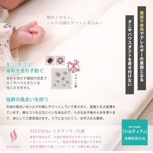 掛け布団 アラエマックス クイーン 掛け布団