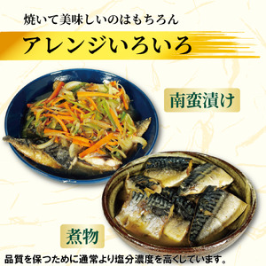 訳あり 塩サバ 約5kg 冷凍 鯖 塩 さば 魚 さかな 海鮮 海産物 おかず ご飯 おすすめ 人気 愛知県 南知多町 【配送不可地域：離島】サバ  鯖 サバ  鯖 サバ  鯖 サバ  鯖 サバ  鯖