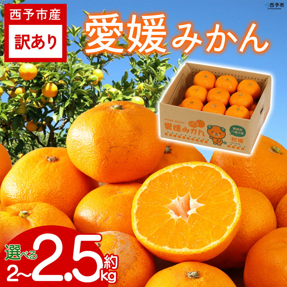 【ふるさと納税】【先行予約】＜訳あり 愛媛みかん 約2kg／2.5kg＞『2026年11月以降順次出荷予定』選べる 温州 みかん フレッシュ ご家庭用 ご自宅 蜜柑 愛媛県産 キロ 果肉 果物 柑橘 フルーツ オレンジ 国産 濃厚 産地直送 ミヤモトオレンジガーデン 愛媛県 西予市【常温】