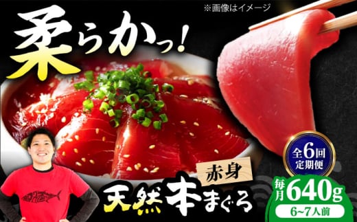 【全6回定期便】極上！たね熟天然本まぐろ赤身(640g) 天然 マグロ 鮪 赤身 刺身 魚 魚介 魚介類 海鮮丼 本マグロ 本まぐろ 本鮪 赤身 大トロ 冷凍 お刺身 お寿司 大阪府高槻市/本まぐろ直売所 [AOCE017]