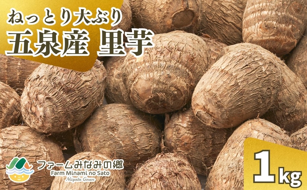 
                   【令和8年産先行予約】 五泉産 大玉さといも 1㎏（2L以上） 新潟県 五泉市 ファームみなみの郷　
                