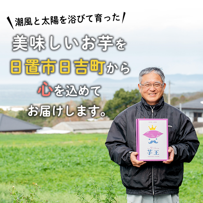 No.434 ＜先行予約受付中！＞鹿児島県産！特選紅はるか冷凍やきいも(500g×4袋・計2kg) 栽培期間中農薬不使用 数量限定 いも 芋 さつまいも 焼き芋 スイーツ ギフト 贈答【上原農園】