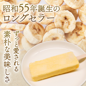 昔ながらのバナナアイスキャンデー80ml×20本