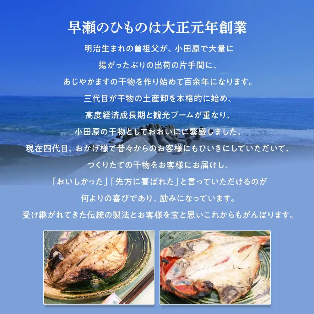 超ひものセット【11種 ひもの 干物 】