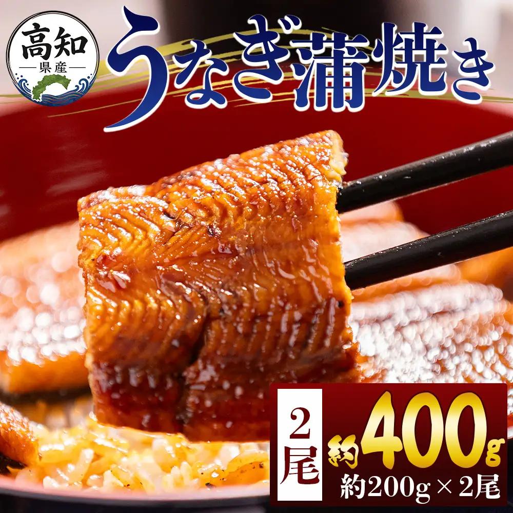 【 うなぎの蒲焼き 】 うなぎの蒲焼き 2尾 (200g以上×2) fb-0227