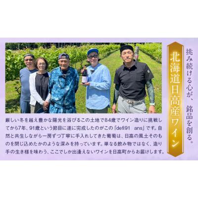 ふるさと納税 日高町 defi 91 ans 1本 750ml 赤ワイン 馬場 幸一《7-14日以内に出荷予定(土日祝除》 |  | 01
