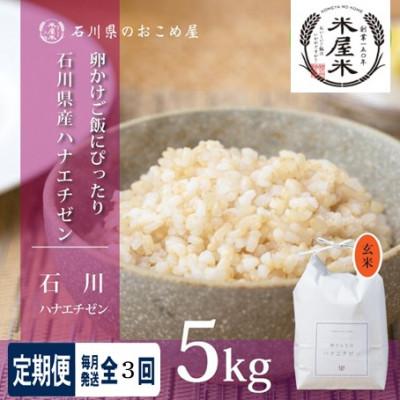 ふるさと納税 野々市市 【毎月定期便】【家庭料理にぴったりの旨み】石川県野々市市産ハナエチゼン玄米 5kg全3回