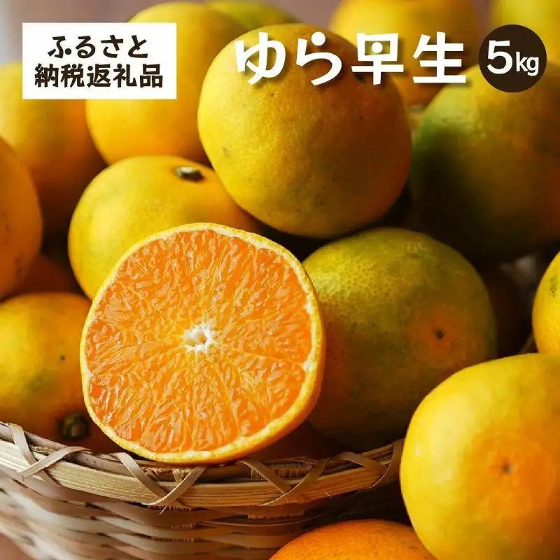 ゆら早生　5kg家庭用｜和歌山で生まれた極早生みかんの優良品種【2026年10月発送開始】