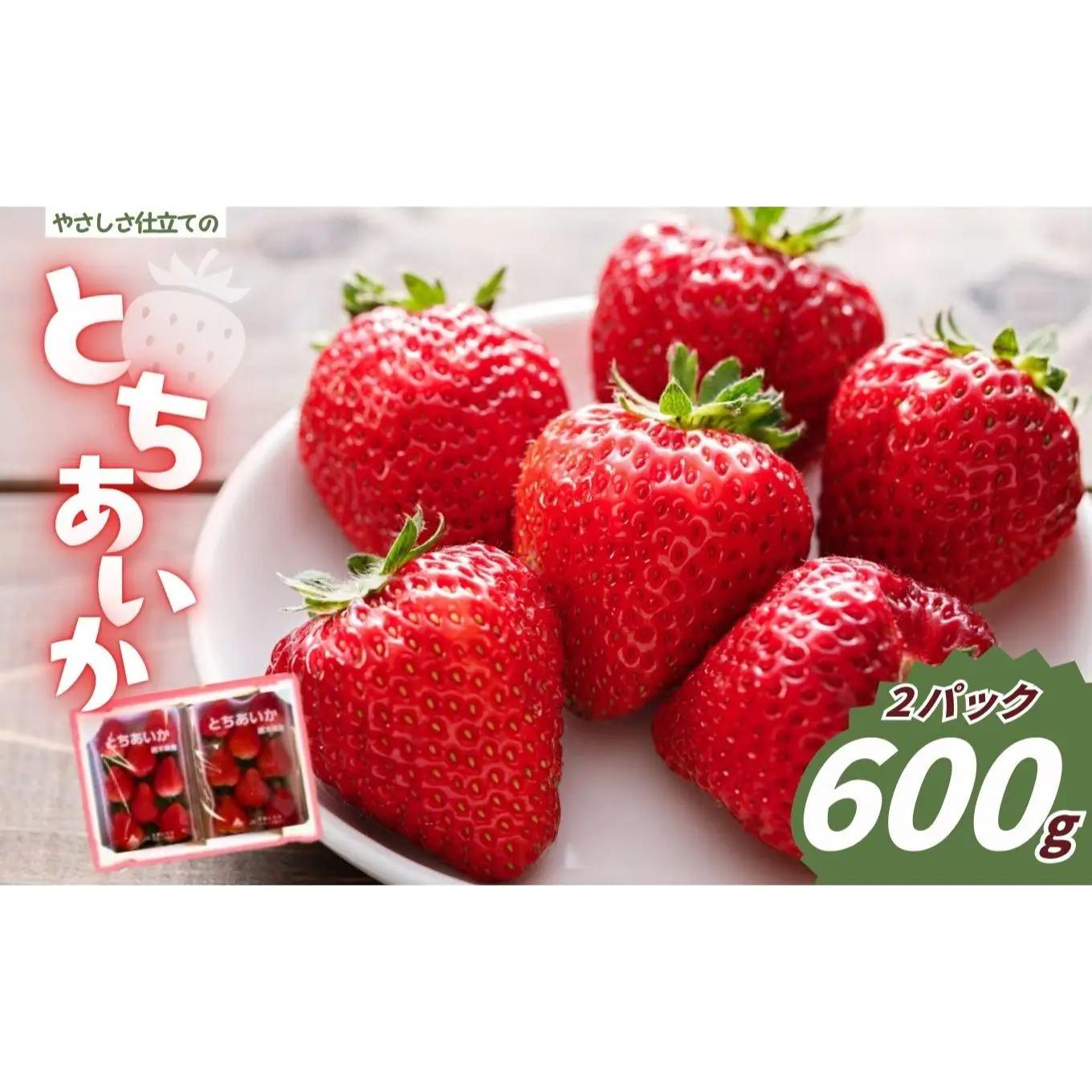 やさしさ仕立ての とちあいか 300g×2P 【2027年先行予約】 栃木県 矢板市