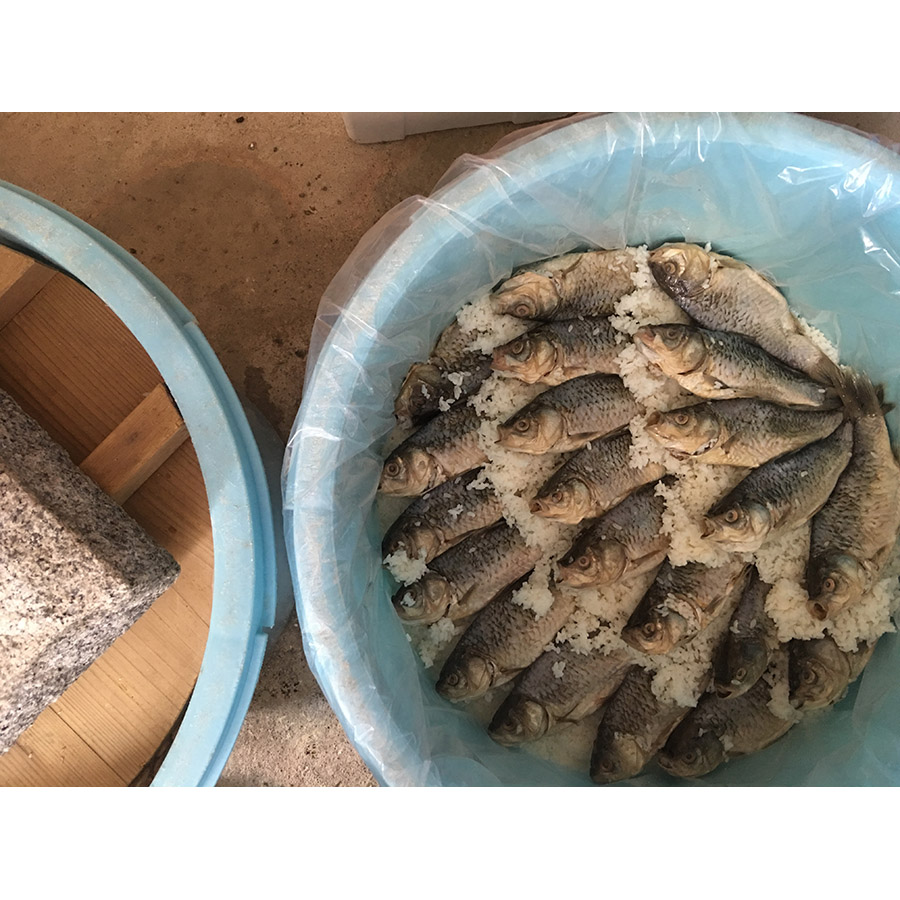 鮒寿司食べ比べセット(箱入り）