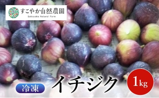 冷凍イチジク 1kg 果物 フルーツ 国産 千葉市 [№5346-1510]