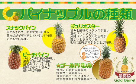 【2026年発送】先行予約 ゴールドバレル 3玉 （約4.0kg） パイナップル 甘い ジューシー デザート 高級 フルーツ 家族で楽しめる 子供 果物 取り寄せ 旬 おすすめ ギフト 人気 家庭用 