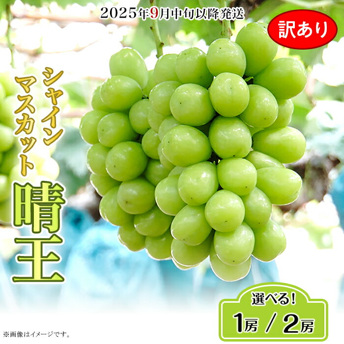 【ふるさと納税】訳あり 果物 シャインマスカット 晴王 大粒 岡山県産 選べる 1房 700g以上 2房 1.2kg以上 ja岡山 皮ごと 種なし ぶどう 葡萄 フルーツ 国産 ブドウ くだもの 先行予約【2025年9月中旬～10月下旬発送予定】（いばら愛菜館）