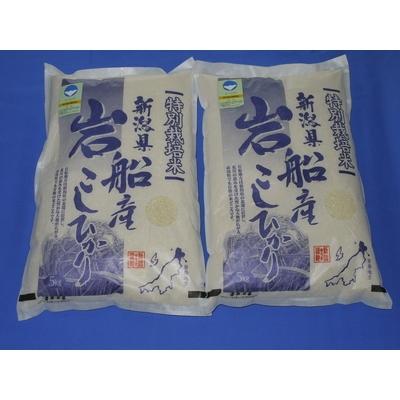 ふるさと納税 村上市 【令和7年産米】特別栽培米 新潟県岩船産コシヒカリ 1029004