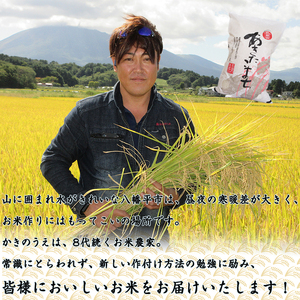 あきたこまち 精米 10kg ／ 白米 産地直送 【かきのうえ】