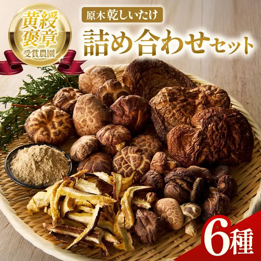乾燥しいたけ 6種セット 椎茸 干ししいたけ 野菜