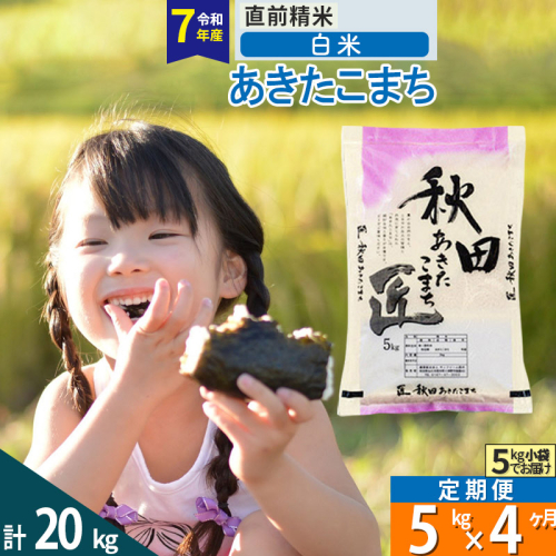 【白米】＜令和7年産＞ 《定期便4ヶ月》秋田県産 あきたこまち 5kg (5kg×1袋)×4回 5キロ お米 匠