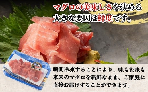 本まぐろ・まぐろ中トロ / 本まぐろ 保戸島産本まぐろの中トロ切り落し1パック (100g) | 本マグロ まぐろ冊 まぐろ切落 まぐろ刺身 まぐろトロ まぐろ保戸島 まぐろ豊後 マグロ中トロ まぐろ