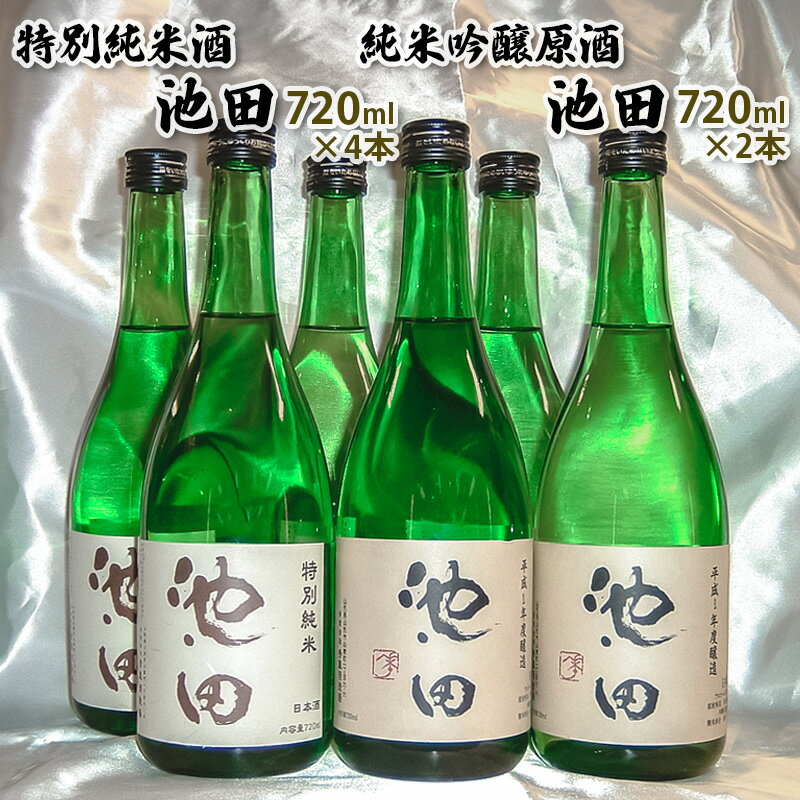 【ふるさと納税】純米吟醸原酒池田 720ml 2本 特別純米酒池田 720ml 4本 合計6本セット FY22-569 山形 お取り寄せ 送料無料