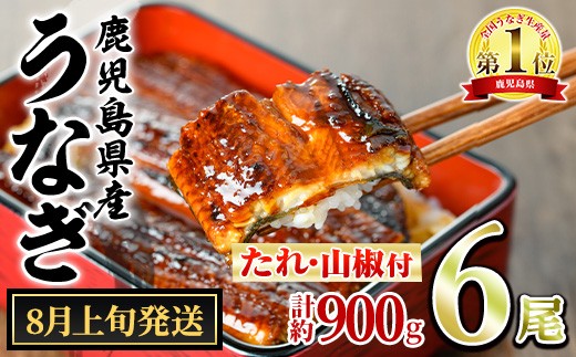 
                  【0304349a-2608】＜8月上旬発送予定＞東串良町のうなぎ蒲焼(無頭)(6尾・計約900g・タレ、山椒付) うなぎ 高級 ウナギ 鰻 国産 蒲焼 蒲焼き たれ 鹿児島 ふるさと 人気 【アクアおおすみ】
                