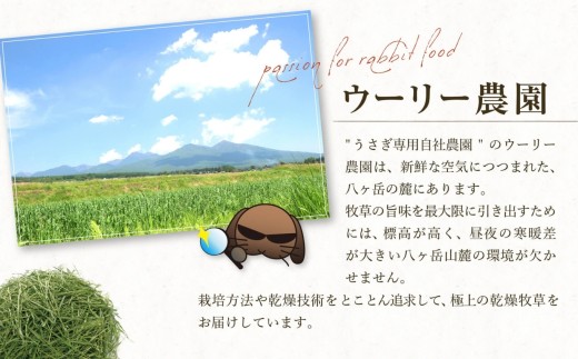 【うさぎ用 国産牧草】WOOLY ウーリー農園 イタリアンライグラス＆ティモシー ブレンド 400g×1袋 八ヶ岳産 ふるさと納税限定 数量限定 ペットフード うさぎ 牧草 ウサギ 餌 長野県富士見町