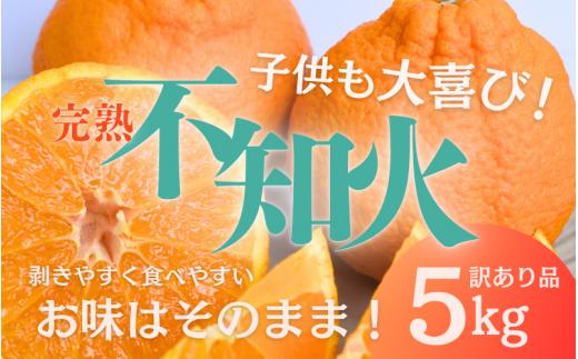【数量限定】 たにぐち農園の完熟不知火 ご家庭用 ちょこっと訳あり 5kg【2026年2月中旬から3月下旬までに順次発送】 / くだもの フルーツ 果物 わけあり 訳あり 家庭用 ご家庭用 不知火 みかん 蜜柑 デコポン 人気