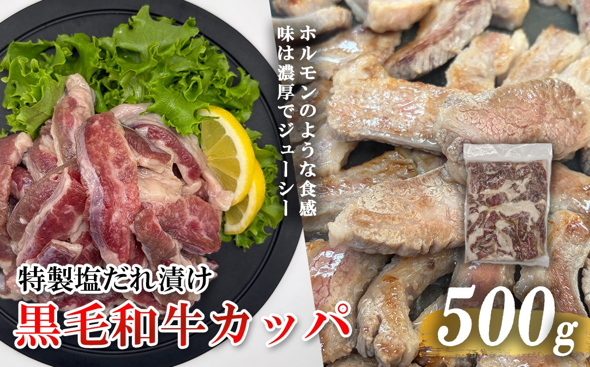 
                  黒毛和牛カッパ（肉ホルモン） 特製塩だれ漬け 500g | 肉 牛 牛肉  焼肉 BBQ 人気 パック 真空 真空パック 冷凍 静岡県 小山町
                
