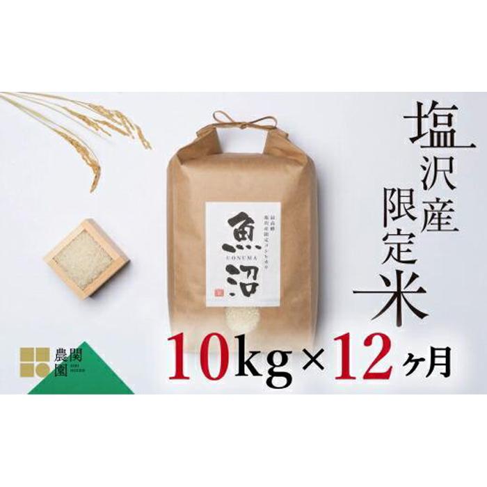 【ふるさと納税】【令和7年産新米予約】米 定期便 120kg ( 10kg × 12ヶ月 ) お米 旧塩沢地区限定 こしひかり 新潟 南魚沼 魚沼産 南魚沼産 白米【2025年9月中旬より順次発送予定】 | お米 こめ 白米 コシヒカリ 食品 人気 おすすめ 送料無料 魚沼 南魚沼