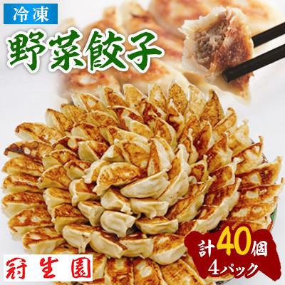 ふるさと納税 加須市 肉汁溢れる冷凍野菜餃子40個(10個入×4p)
