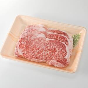 【鹿児島県産】黒毛和牛 サーロインステーキ 約510g (約170g×3枚)(枕崎市) B3-89【配送不可地域：離島】【1616196】