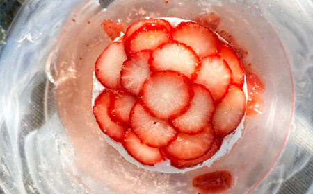 朝摘みイチゴのクレームダンジュ 4個セット 島根県松江市/株式会社フローネ[ALGN002]