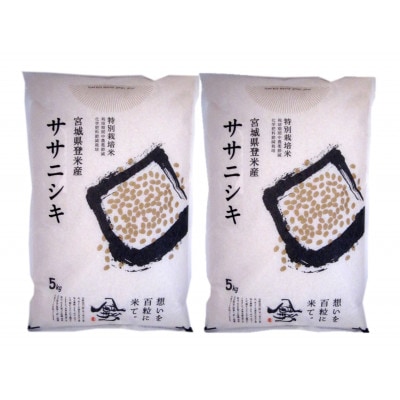 【特別栽培米】宮城県登米市産ササニシキ精米5kg×2個【1459335】