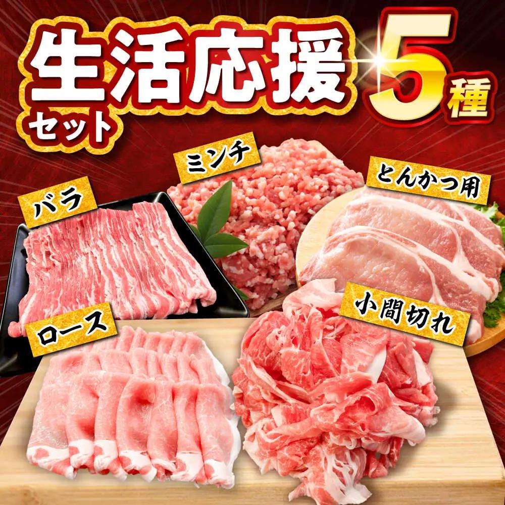 【全6回定期便】瀬戸豚 生活応援セット 計5kg / 豚肉 しゃぶしゃぶ セット [BBBQ217] 豚肉定期便