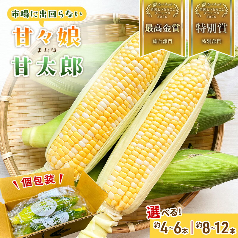 【ふるさと納税】とうもろこし 選べる本数 甘々娘 または 甘太郎 約4本～ 家庭用 テルもろこし ダン・モリ 個包装 レンジ調理 レンチン 旬 冷蔵配送 静岡 浜松市 【配送不可：離島】　お届け：2027年6月下旬～2027年8月上旬予定