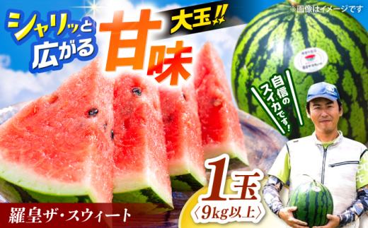 スイカ 【先行予約：2026年6月下旬より配送】 スイカ 羅皇ザ・スウィート1玉（9kg以上） すいか ＜勝田農園＞ [CGM005] 長崎 西海 すいか suika 甘い 大玉 旬 ギフト プレゼント フルーツ 夏 スイカ すいか 西瓜 長崎県 西海市 お取り寄せスイカ 羅王 甘い 夏 果 物 フルーツ すいか 大玉スイカ ごほうび 贈答 スイカ 西瓜 野菜 新鮮 すいか 産地直送 おやつ
